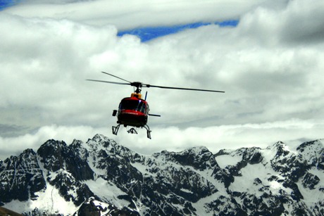 Professional Organisations